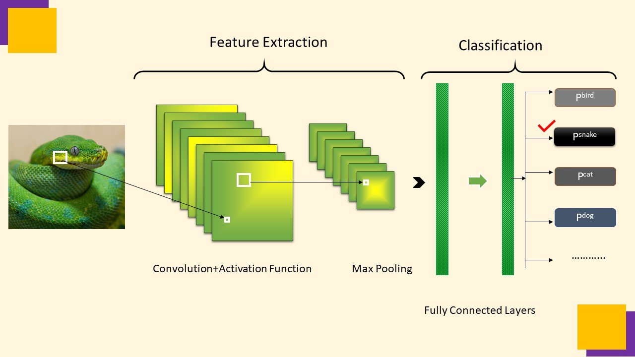 Read more about the article Classical Convolutional Neural Networks[CNN]